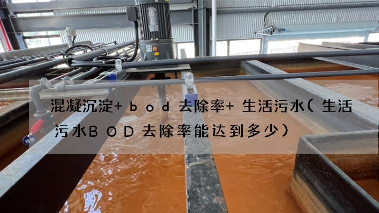混凝沉淀 bod去除率 生活污水(生活污水BOD去除率能达到多少)